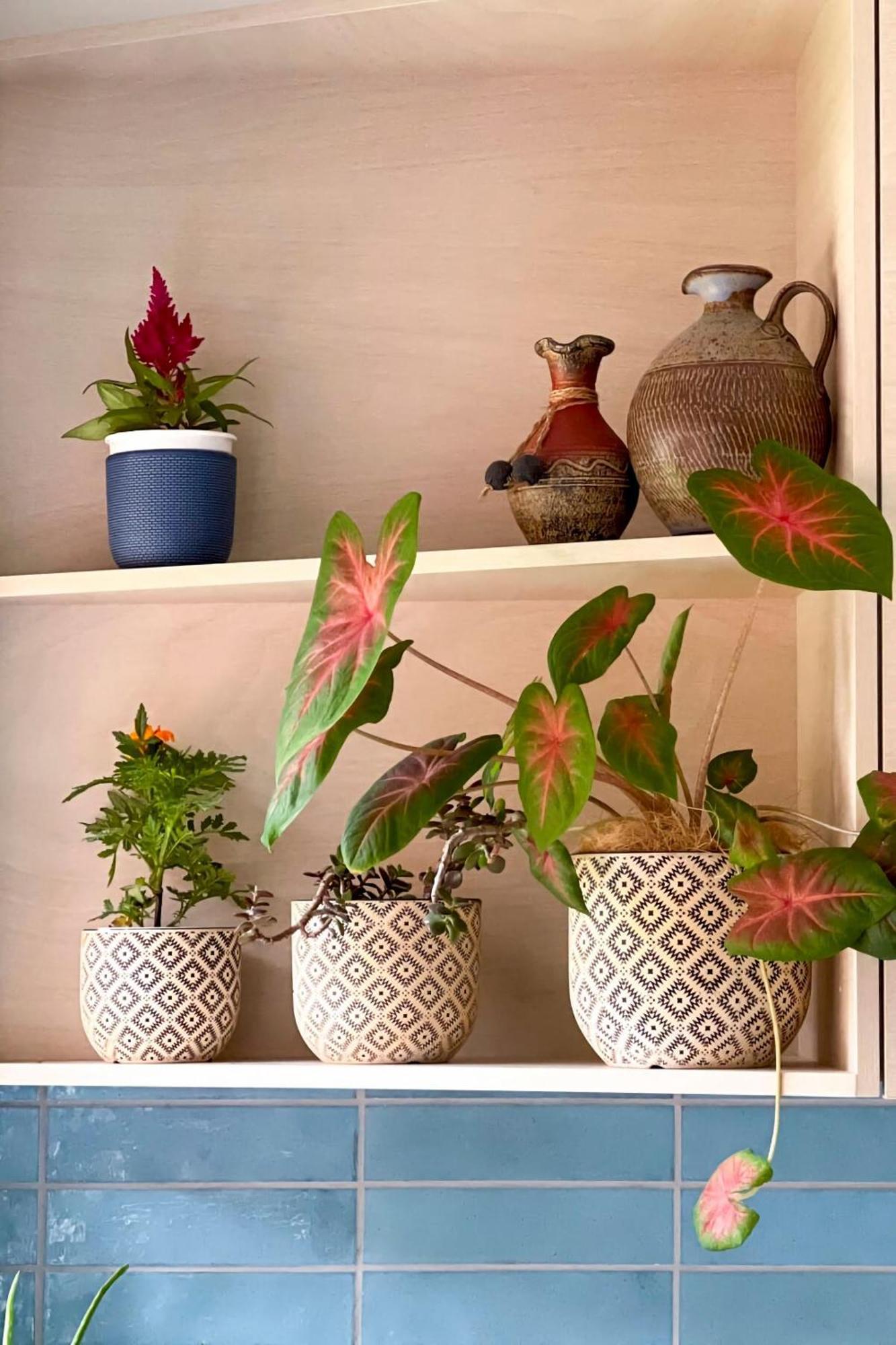 Oak Retreat Bliss By The Beach Warriewood Luaran gambar